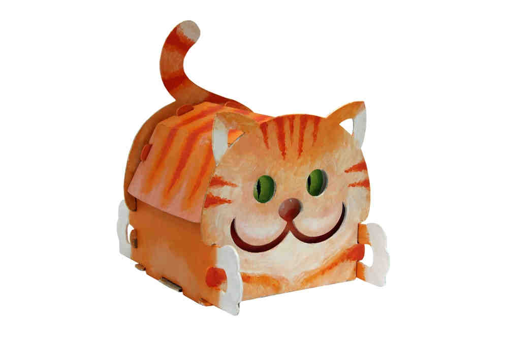 Вариант раскраски коробочки "Котик" (1)